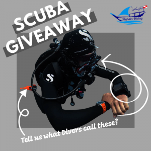 Scuba Giveaway Terms and Conditions