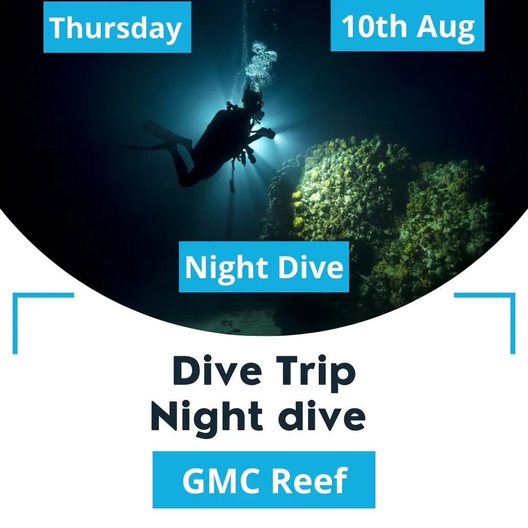 This weekend we are diving on Thursday night
Night diving
Meeting time - 9:00 pm 
Location - Gathering at Sealine shop
4x4 car required, let us know if you don't have a car
Looking forward seeing you on Thursday 
الويك اند بنغوص الخميس المساء
غوص ليلي
التجمع الساعة ٩:٠٠ المساء عند فرع الغيص سيلين 
نراكم يوم الخميس 
#divinginqatar #scuba #scubadiving
