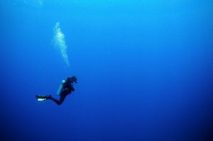 Top 10 Reasons why you should start Scuba Diving Today.