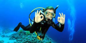 What's the difference between a Scuba Diver and Open Water Diver