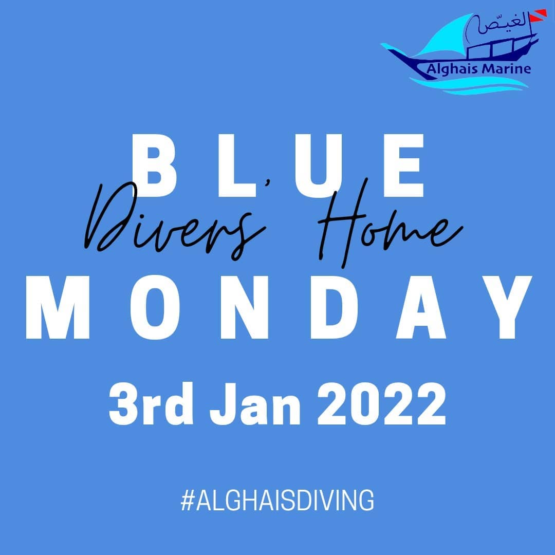 2022 is starting and we hope it is a year full of happiness and good health
This Blue Monday is going to be without gathering and extended to 3 days to lower the number of visits per day due to the current situation.
Wish you all to be safe and stay healthy.
#bluemonday #scubadiving #divinginqatar