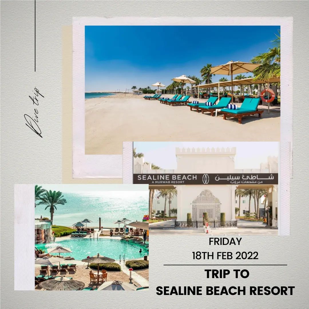 Trip to Sealine Beach Resort
SCUBA dive on the house reef of the resort plus access to the pool, the hotel facilities and open buffet lunch.
This Friday 18th Feb 2022
Cost: Members- 350 QAR 
Includes Resort entrance, 2 tanks, pool & beach access and lunch 🍽
Rental excluded
Cost: Non Members- 400 QAR includes Resort entrance, 2 tanks, pool & beach access  and lunch 🍽 
Rental excluded
Meeting at Alghais Diving Sealine shop at 7:30 am. 
To book please fill up the booking request form. AVAILABLE ON REQUEST 
*Booking confirmation will be send via whatsapp msg*
Any questions please feel free to contact us on 3363 2022
#scubadiving #divinginqatar #diving #sealinebeachresort