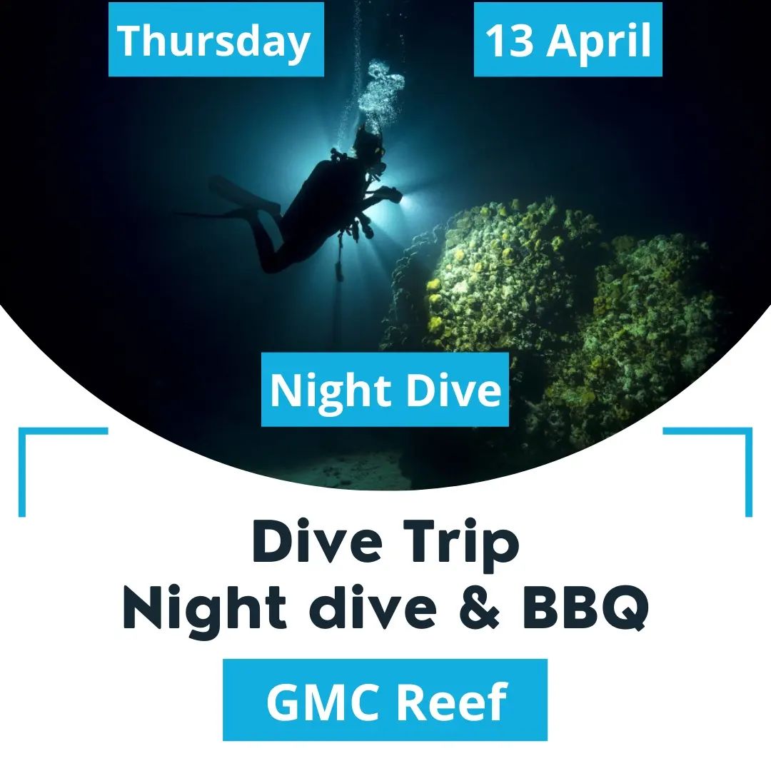 This weekend we are diving on Thursday night
2 night dives or 1 at night and 1 in the morning as the group prefer and a BBQ party as Sohor night 🤩
Minimum requirements - Open Water diver level 1
Meeting time - 8:30 pm 
Location - Gathering at Sealine shop
4x4 car required, let us know if you don't have a car
Looking forward seeing you on Thursday 

الويك اند بنغوص الخميس المساء
غوصة ليلة وأخرى نهارية أو غوصتين في الليل حسب رغبة القروب والسحور بيكون حفل شواء.
التجمع الساعة ٨:٣٠ المساء عند فرع الغيص سيلين 
نراكم يوم الخميس 

#divinginqatar #scuba #scubadiving