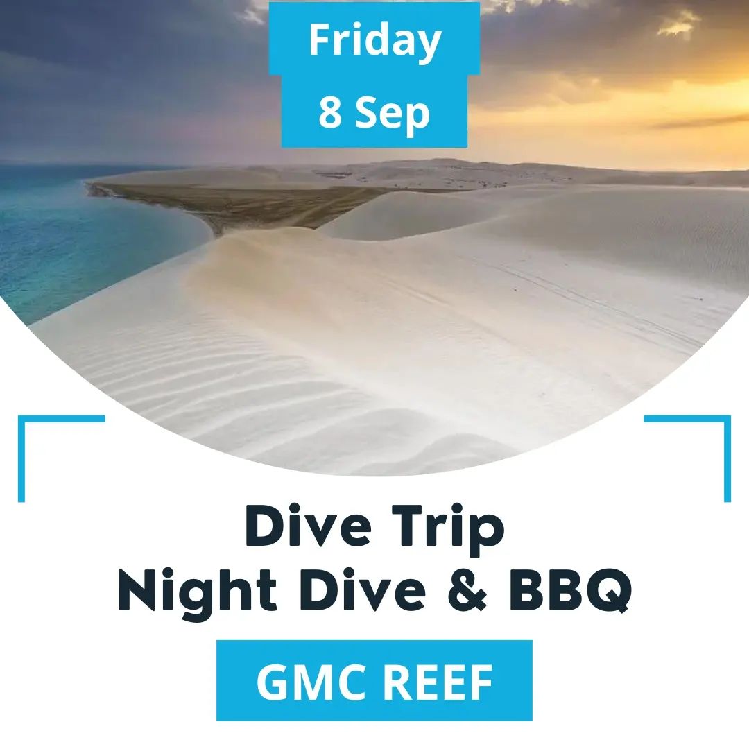 This weekend we are diving in Inland Sea
1 night dives, 1 afternoon dive and a BBQ party at night 🤩
Meeting time - 2:00 pm 
Location - Gathering at Sealine shop
4x4 car required, let us know if you don't have a car
Looking forward seeing you on Friday 

الويك اند بنغوص في العديد
غوصة ليلة وأخرى بعد الظهر وحفل شواء في المساء. 🤩
التجمع الساعة ٢ العصر عند فرع الغيص سيلين 
نراكم يوم الجمعة

#divinginqatar #scuba #scubadiving